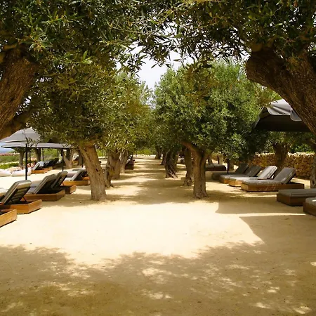 Emily's Sun Escape Peyia
